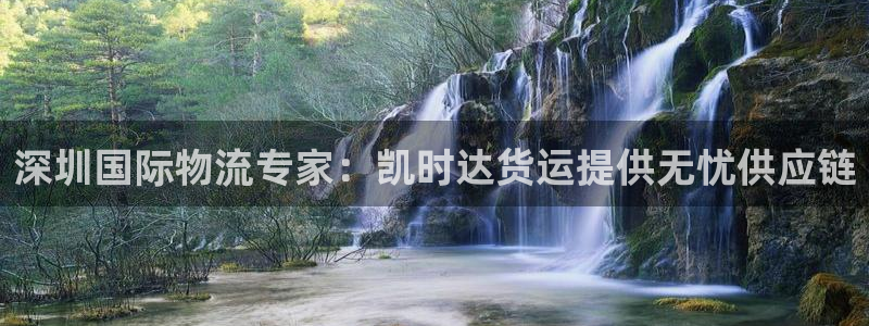 尊龙凯时代理佣金发不发：深圳国际物流专家：凯时达货运提供