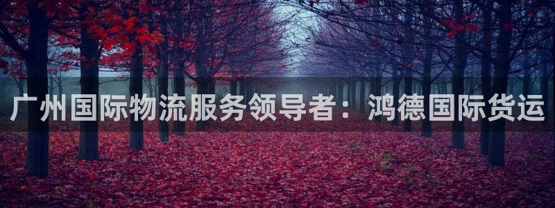 尊龙凯时怎么注销账号：广州国际物流服务领导者：鸿德国际货