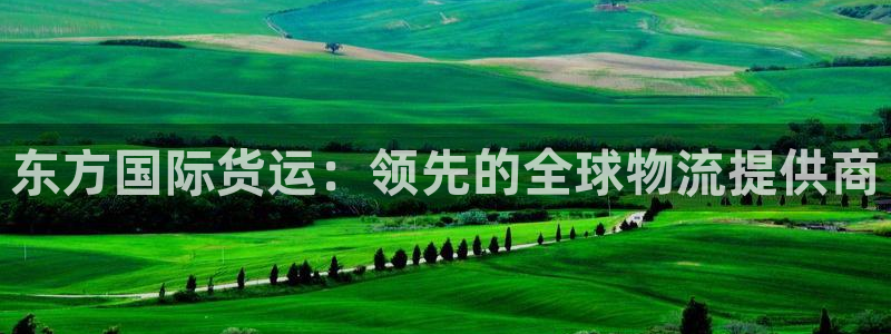 尊龙一人生就是搏：东方国际货运：领先的全球物流提供商
