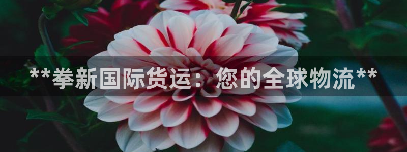 尊龙凯时有假么：**拳新国际货运：您的全球物流**