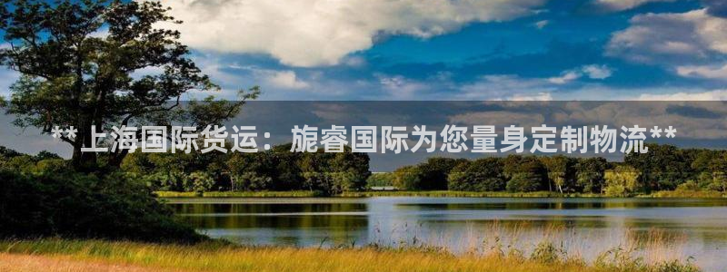 尊龙凯时充十万返现多少：**上海国际货运：旎睿国际为您量