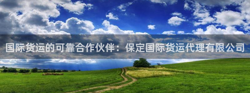 尊龙400：国际货运的可靠合作伙伴：保定国际货运代理有限