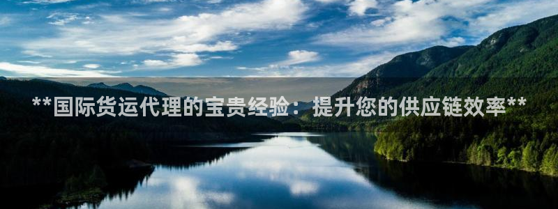 尊龙2016：**国际货运代理的宝贵经验：提升您的供应链