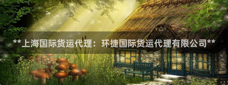 尊龙Ag：**上海国际货运代理：环捷国际货运代理有限公司