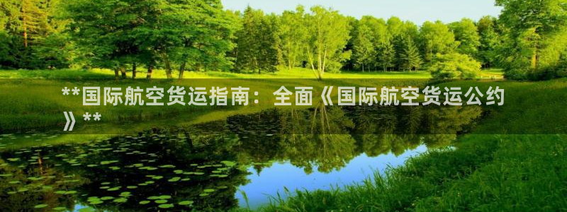 尊龙一人生就是博电子游戏：**国际航空货运指南：全面《国