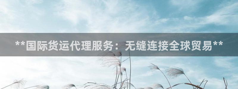 尊龙现金推荐ag发财网：**国际货运代理服务：无缝连接全