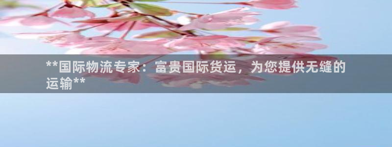 尊龙凯时官网平台：**国际物流专家：富贵国际货运，为您提