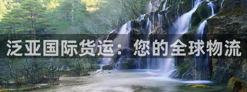 尊龙凯时取款24小时不到账：泛亚国际货运：您的全球物流