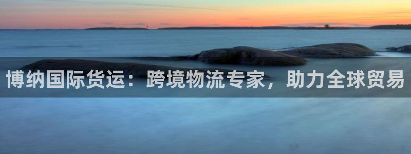 尊龙凯时vip：博纳国际货运：跨境物流专家，助力全球贸易