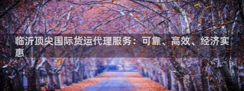 尊龙凯时发展历程：临沂顶尖国际货运代理服务：可靠、高效、