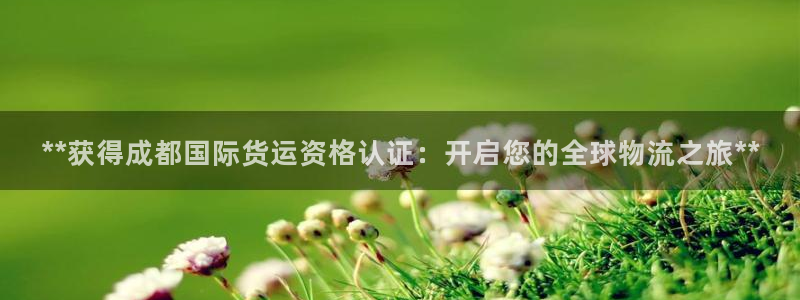 尊龙旗舰厅app：**获得成都国际货运资格认证：开启您的