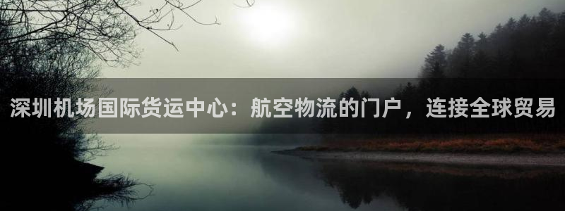 尊龙公司：深圳机场国际货运中心：航空物流的门户，连接全球