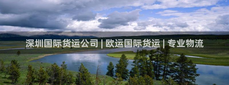 尊龙t300和t400哪个好：深圳国际货运公司 | 欧运