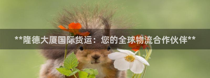 尊龙人生就是博客服：**隆德大厦国际货运：您的全球物流合