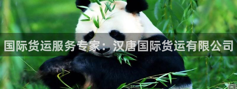 尊龙 下载：国际货运服务专家：汉唐国际货运有限公司