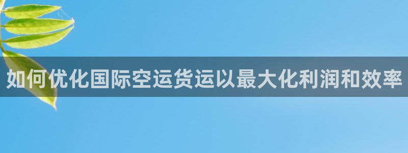 尊龙凯时为什么不封：如何优化国际空运货运以最大化利润和效