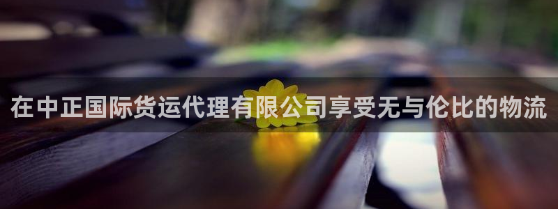 尊龙凯时品牌介绍：在中正国际货运代理有限公司享受无与伦比