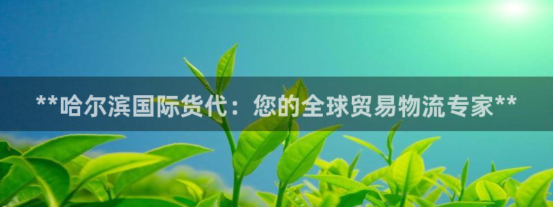 尊龙凯时代理：**哈尔滨国际货代：您的全球贸易物流专家*