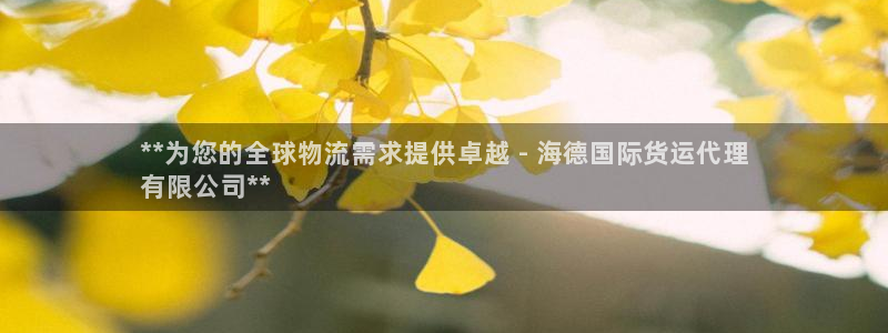 尊龙凯时的企业文化：**为您的全球物流需求提供卓越 - 