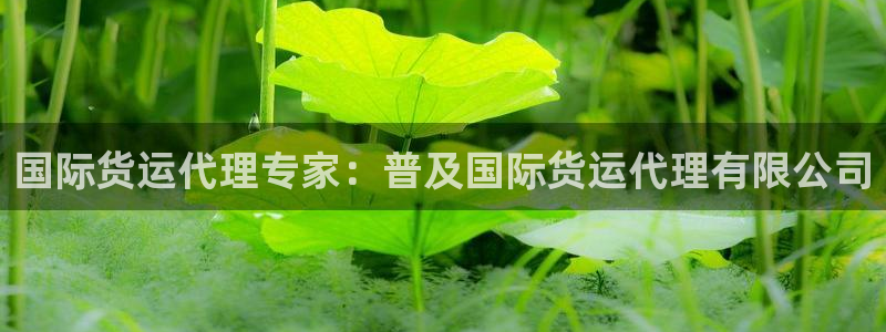 尊龙物流怎么样：国际货运代理专家：普及国际货运代理有限公