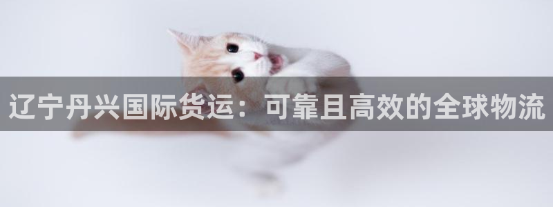 尊龙目前在哪：辽宁丹兴国际货运：可靠且高效的全球物流