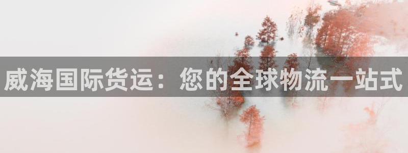 尊龙AG发财网：威海国际货运：您的全球物流一站式