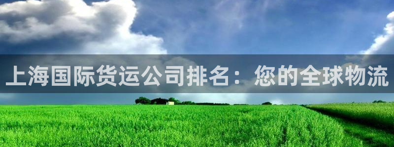 尊龙凯时：上海国际货运公司排名：您的全球物流