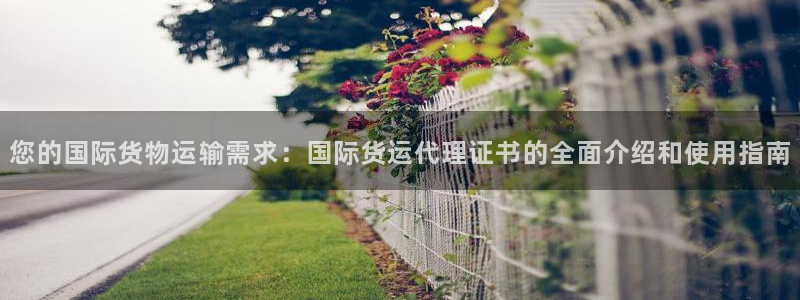 尊龙实业有限公司是正规还是仿