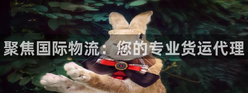 ag旗舰平台尊龙代言