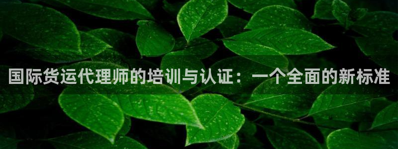 尊龙体育直接访问agbaofu.wang|ag暴富网