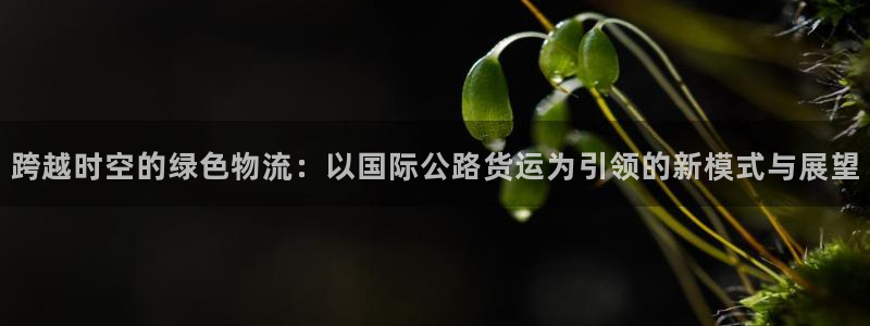 尊龙凯时平台有没有不到账的