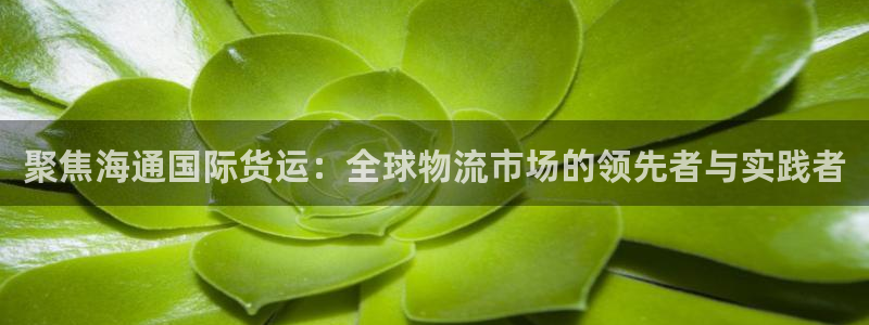 尊龙凯时人生就是搏·(中国)官网