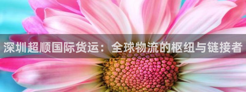 尊龙凯时发展历程