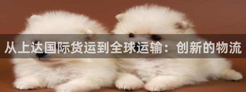 尊龙集团有限公司地址