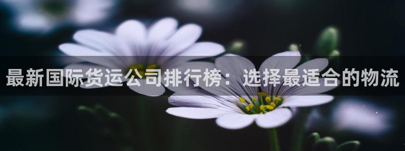 尊龙凯时集团