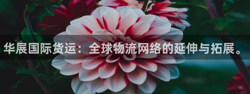 尊龙凯时网站是什么地方人开的