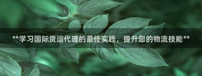 尊龙凯时电竞：**学习国际货运代理的最佳实践，提升您的物