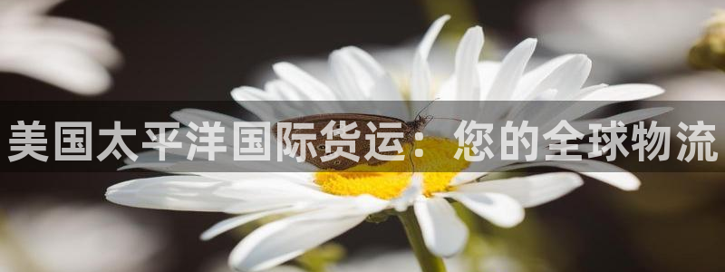 尊龙人生手机版都去ag发财网