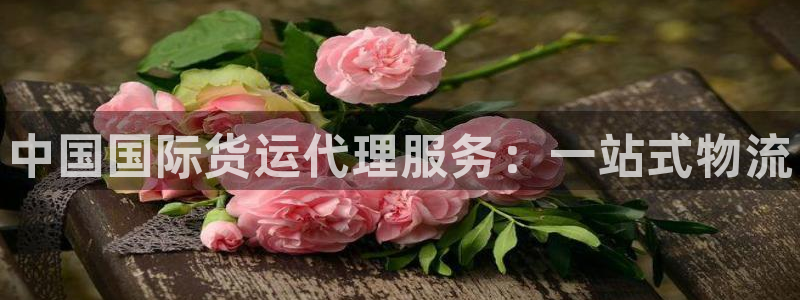 尊龙凯时网站不让提款：中国国际货运代理服务：一站式物流