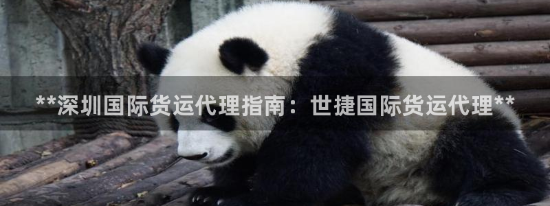 ag尊龙凯时俱乐部