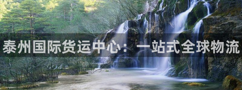 尊龙凯时和九游会哪个平台好一点：泰州国际货运中心：一站式