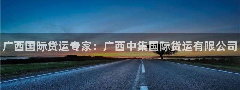 尊龙网站注册网：广西国际货运专家：广西中集国际货运有限公