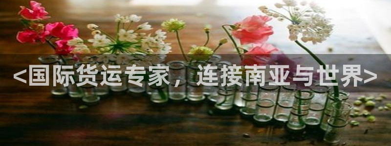 尊龙物流怎么样：<国际货运专家，连接南亚与世界>
