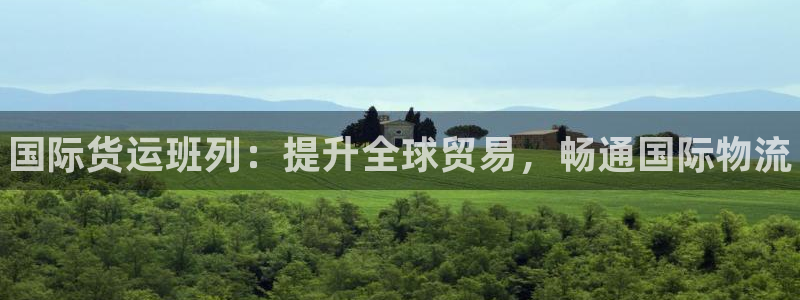 尊龙凯时官网正规吗：国际货运班列：提升全球贸易，畅通国际