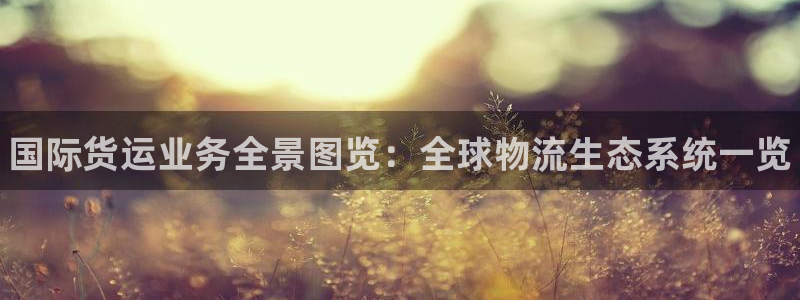 尊龙人生就是博一下阿扎尔：国际货运业务全景图览：全球物流