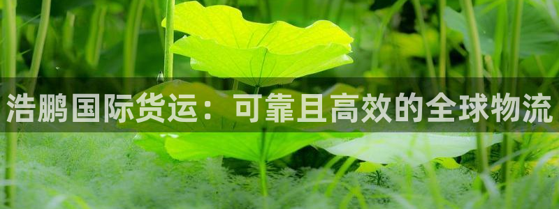 尊龙凯时赞助：浩鹏国际货运：可靠且高效的全球物流