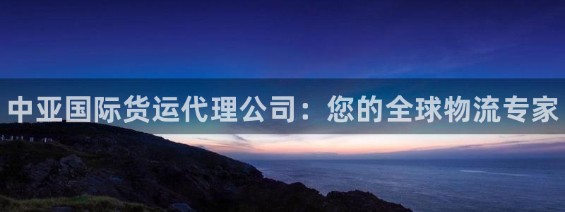 尊龙凯时取钱很慢：中亚国际货运代理公司：您的全球物流专家