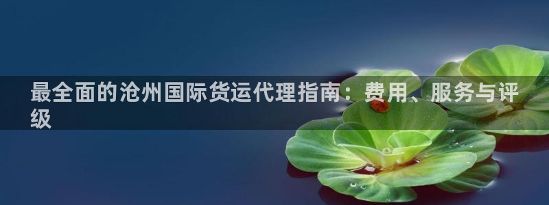尊龙凯时导航菜单首页：最全面的沧州国际货运代理指南：费用