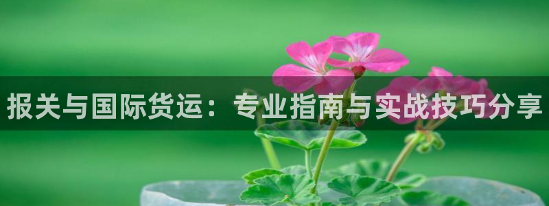 尊龙d88用现推选ag发财网