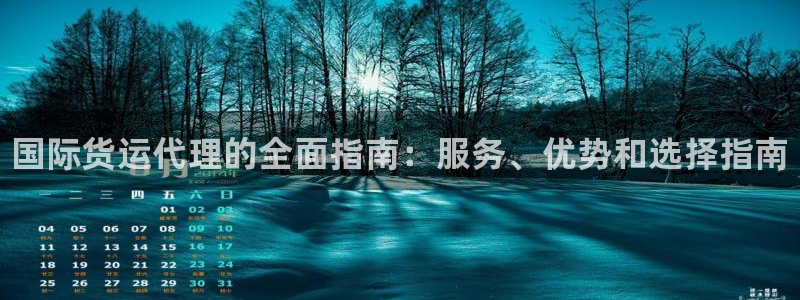 尊龙官方平台：国际货运代理的全面指南：服务、优势和选择指